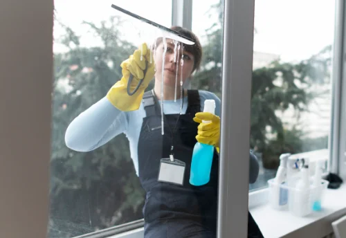 Nettoyage de vitres intérieures et extérieures à Laglorieuse